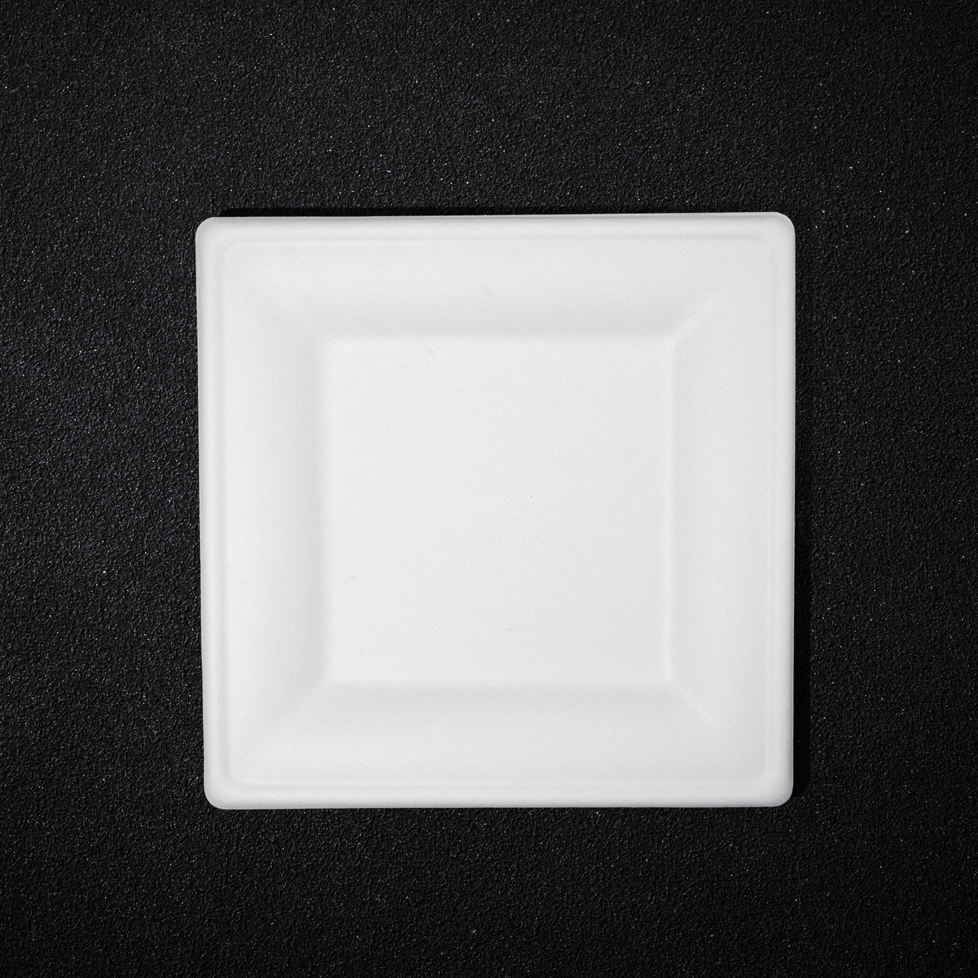 10 Inch Square Plate (Compostable)